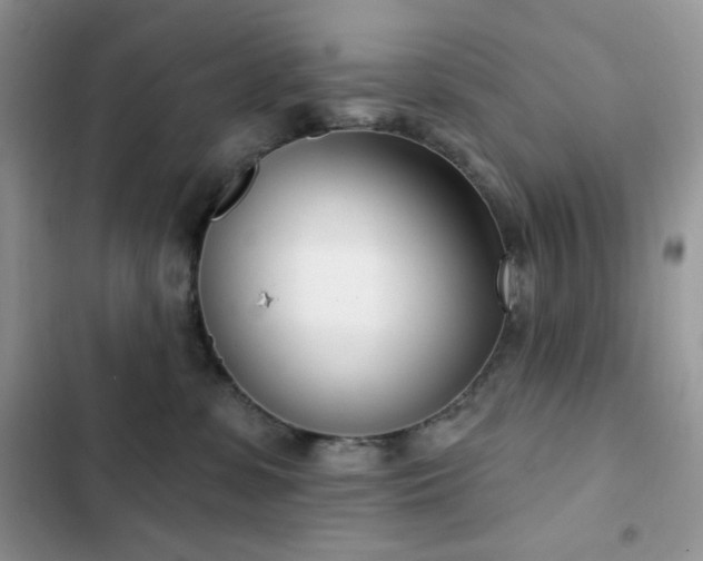 X0000102870331200808181512