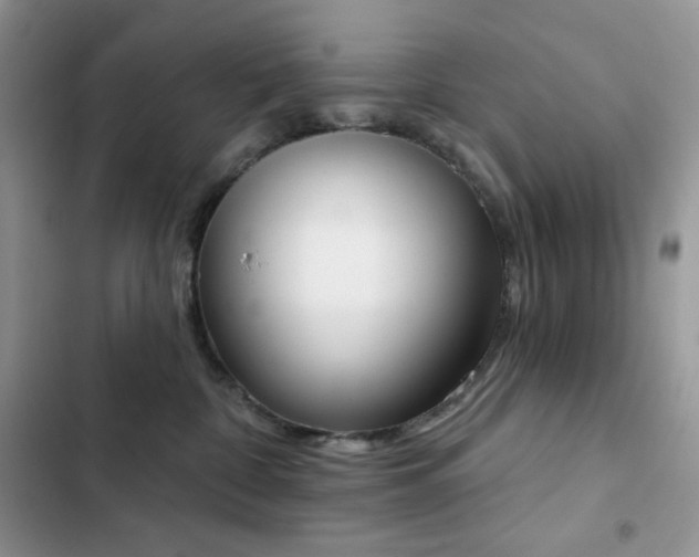 X0000102870332200808181512