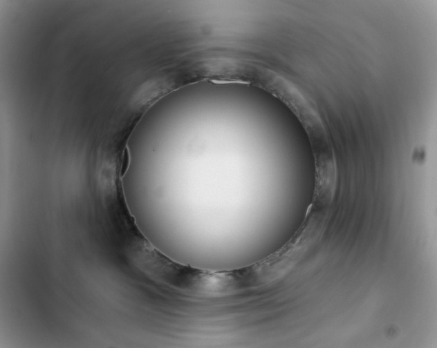 X0000102870333200808181512