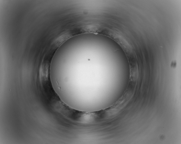 X0000102870334200808181512