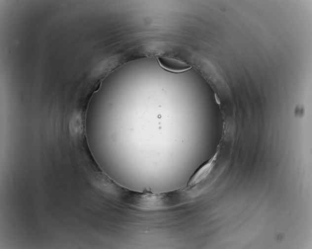 X0000102870335200808181512