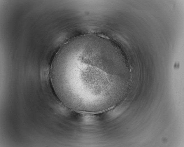 X0000102870336200808181512
