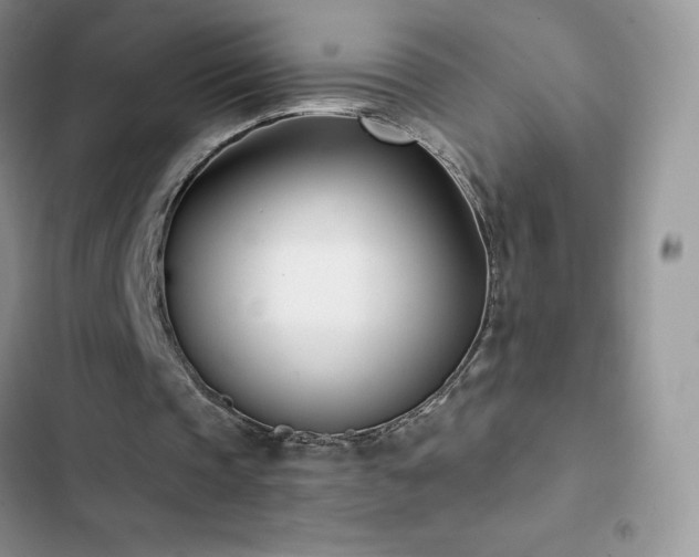 X0000102870337200808181511