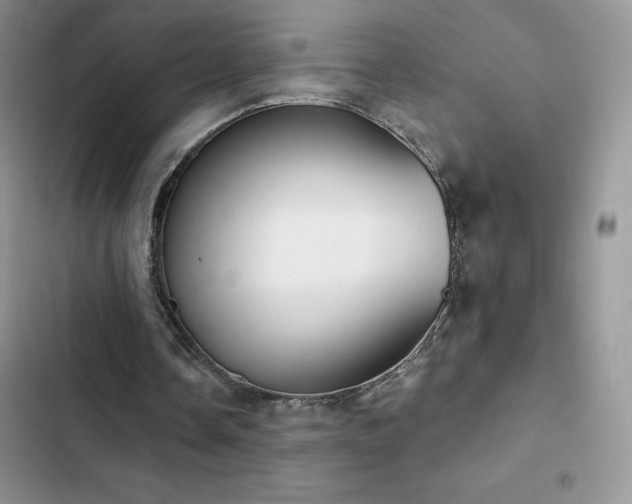 X0000102870338200808181511