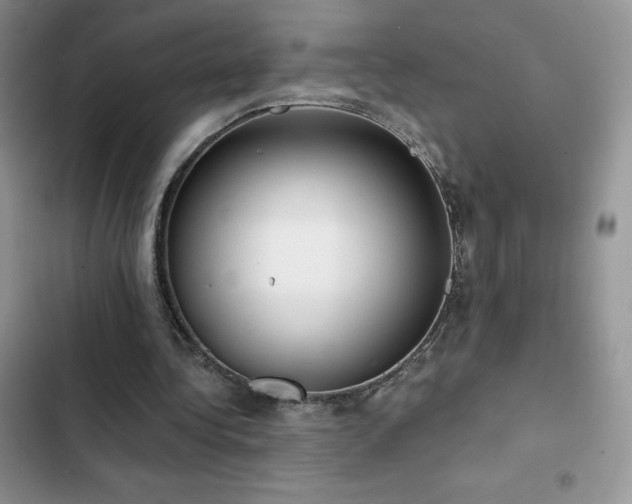 X0000102870340200808181511