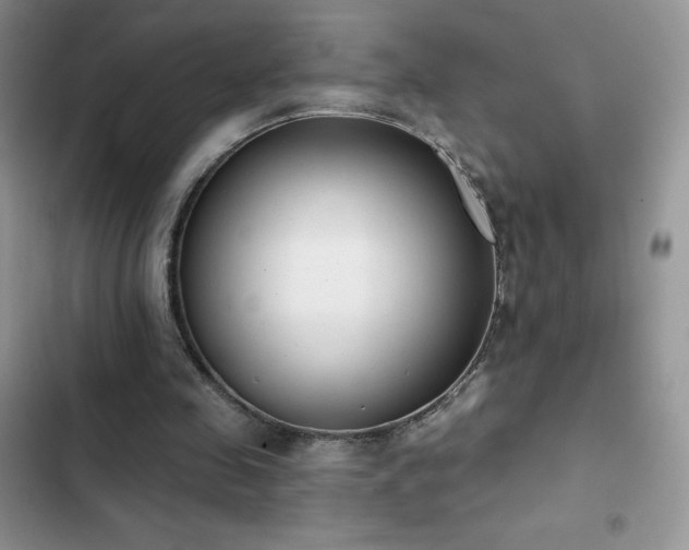 X0000102870341200808181511
