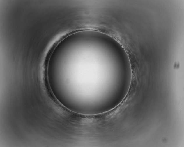 X0000102870342200808181511