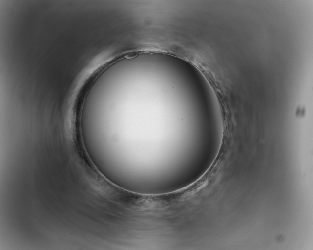 X0000102870343200808181511
