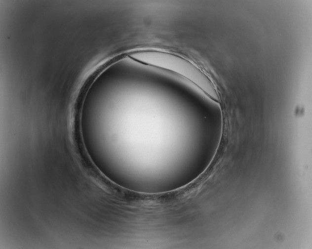 X0000102870344200808181511