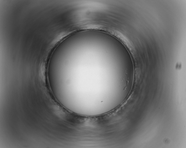 X0000102870345200808181511