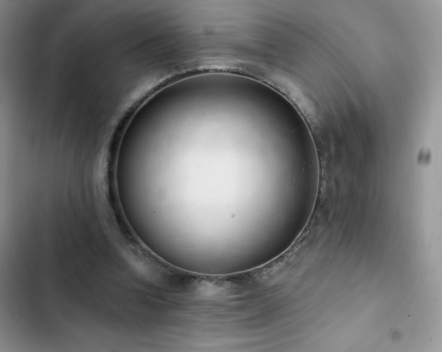 X0000102870346200808181511