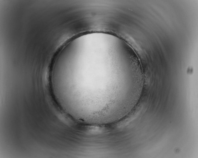 X0000102870347200808181511
