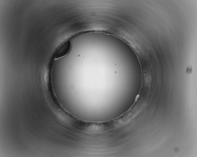 X0000102870350200808181511