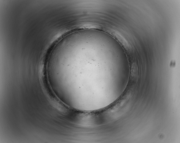 X0000102870351200808181511
