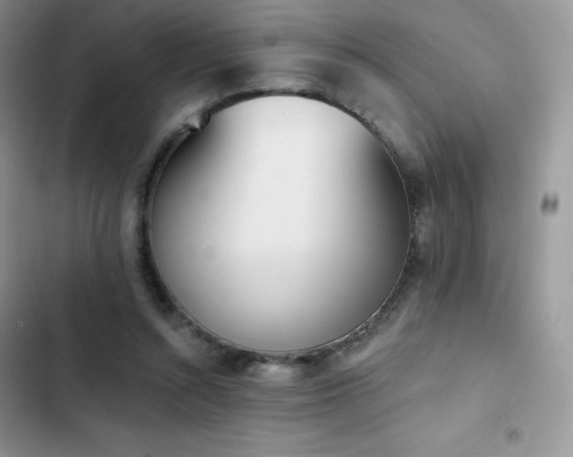 X0000102870352200808181511
