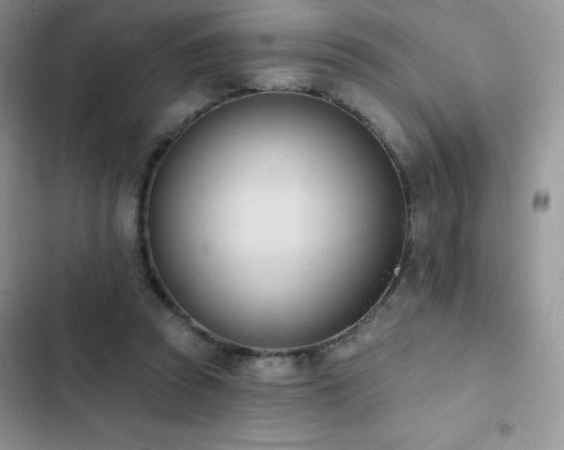 X0000102870353200808181511