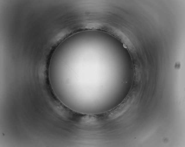 X0000102870354200808181511