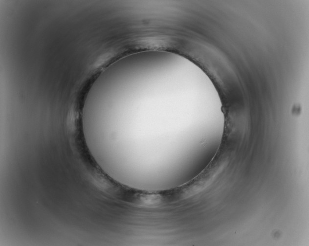 X0000102870355200808181511