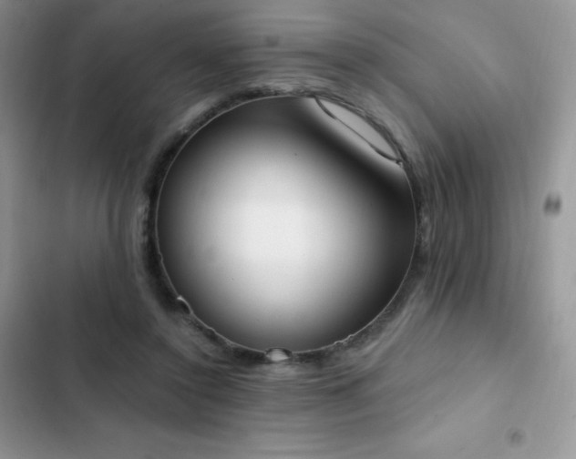 X0000102870356200808181511