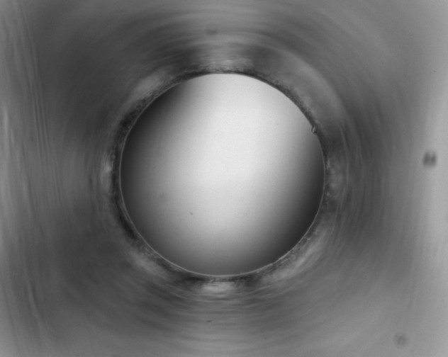 X0000102870357200808181511