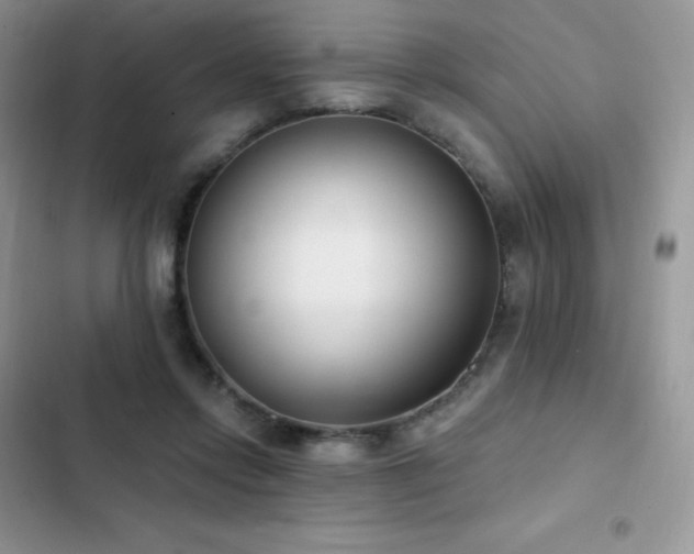 X0000102870358200808181511
