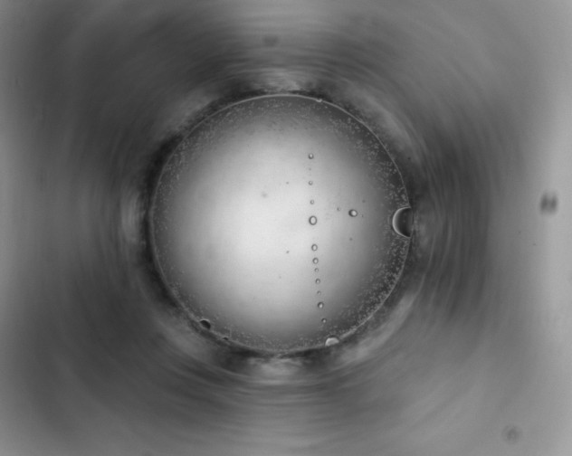 X0000102870359200808181511