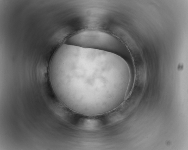 X0000102870360200808181511