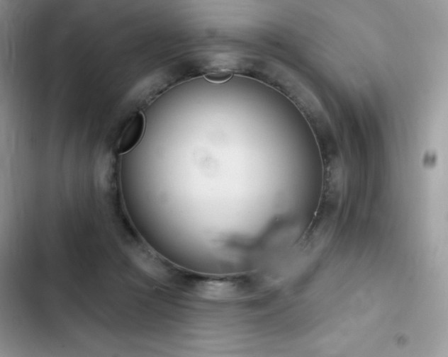 X0000102870361200808181511