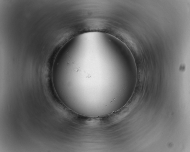 X0000102870362200808181511