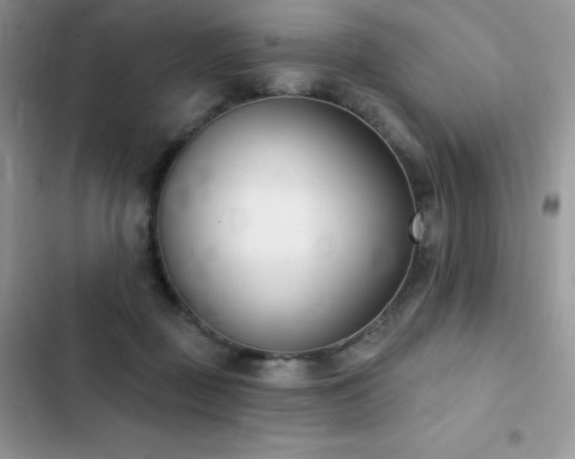 X0000102870363200808181511