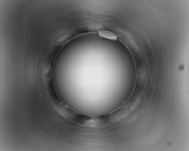 X0000102870364200808181511