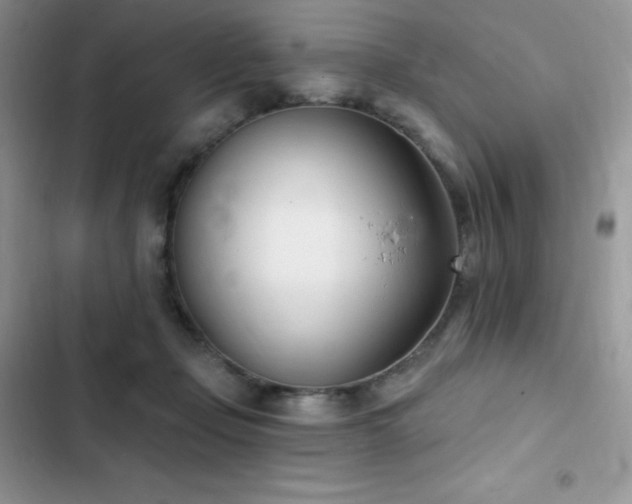 X0000102870365200808181511