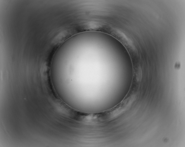 X0000102870366200808181511