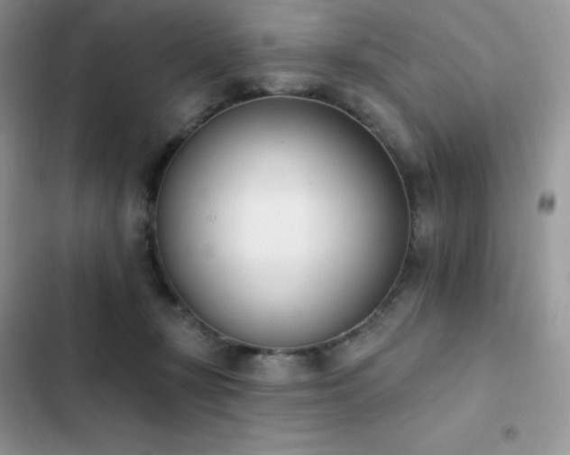 X0000102870367200808181511