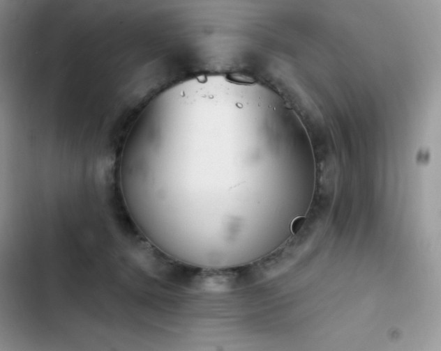 X0000102870368200808181511