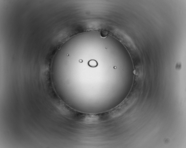 X0000102870369200808181512