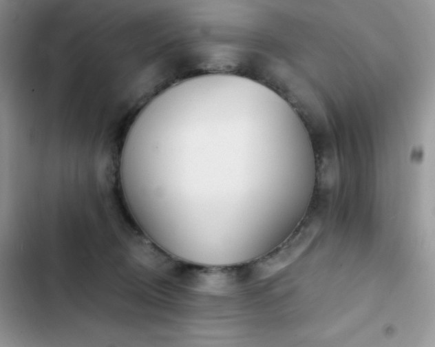 X0000102870370200808181512