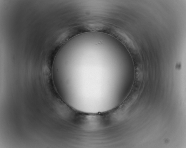 X0000102870371200808181512
