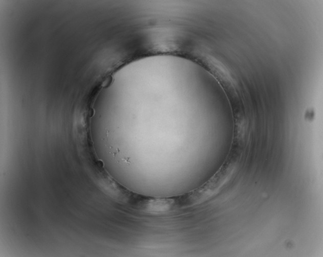 X0000102870373200808181512