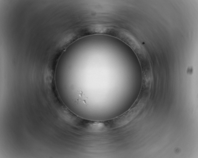 X0000102870374200808181512