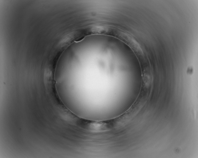 X0000102870375200808181512