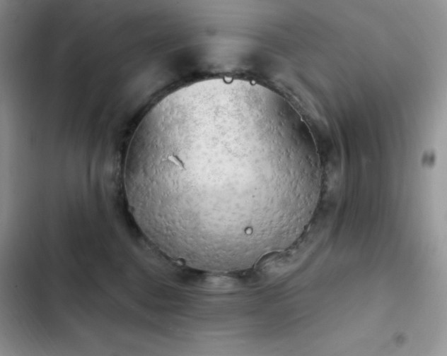 X0000102870376200808181512