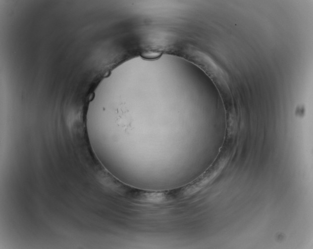 X0000102870377200808181512