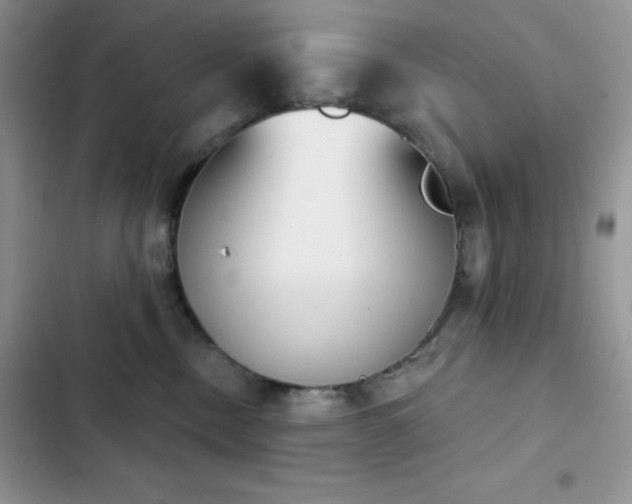 X0000102870378200808181512