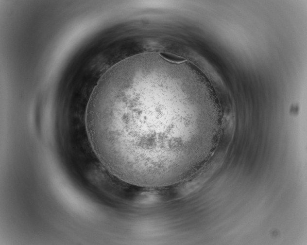 X0000102870381200808181512