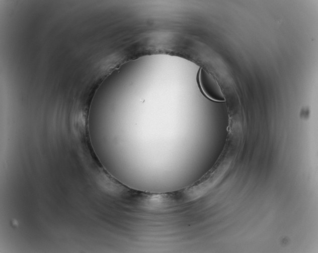 X0000102870382200808181512