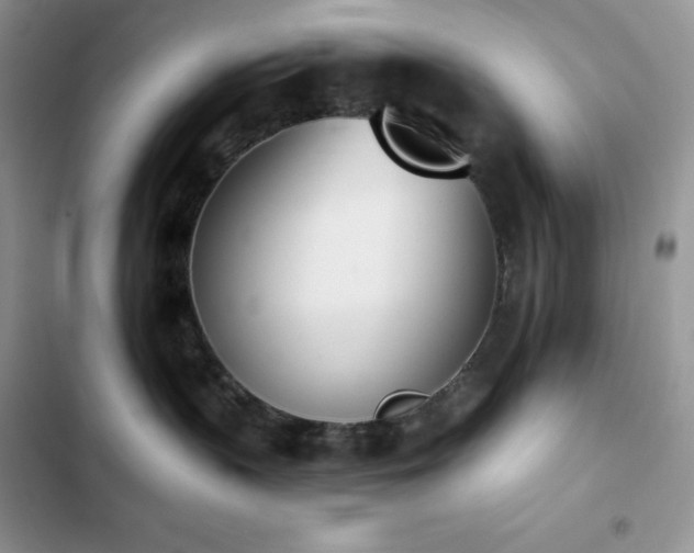 X0000102870383200808181512