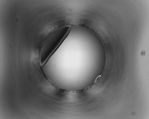 X0000102870384200808181512