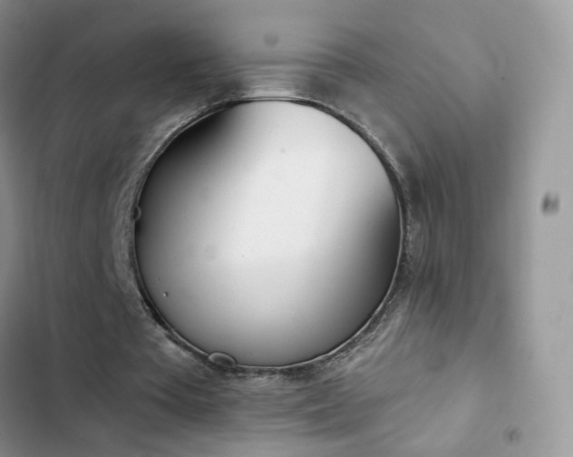X0000102870385200808181511