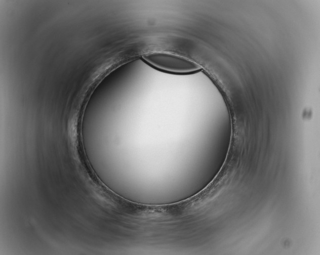 X0000102870386200808181511